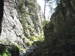 Trail from Cyphers Mine to Hunting Lodge